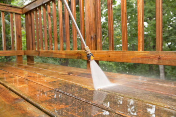 Trusted Trail Creek, IN Pressure Washing Services Experts